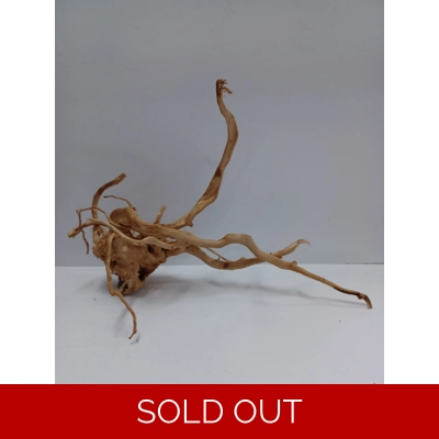 Redmoor root A51 44cm by 30cm L X H